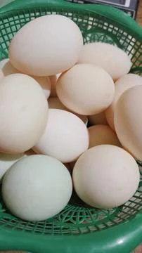 Free Range Chicken Eggs Стоковые фото
