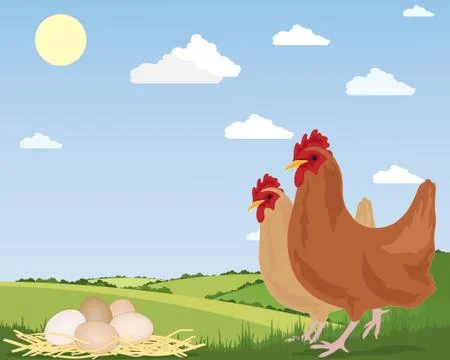 Free range eggs Stock Illustration