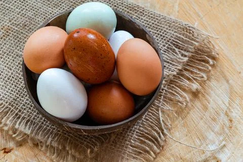 Free range eggs Foto stock