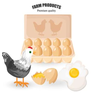 Free range eggs Vector. Bunch of eggs and chicken Stock Illustration