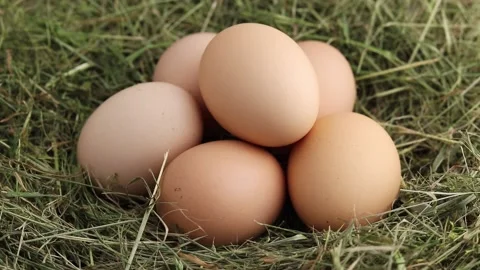 Free-range hen eggs in a hay nest. Stock Footage 154369503