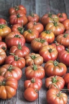 Free red vegetables of tomato Stock Photos
