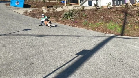 Free Ride longboard Stock Footage 171032136