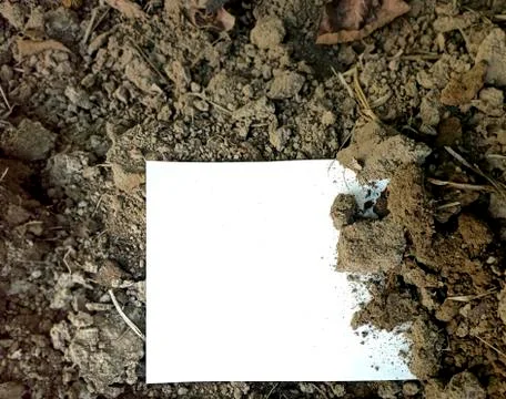 Free space on the soil surface Stock Photos