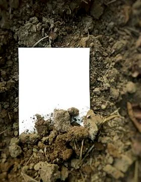 Free space on the soil surface Stock Photos
