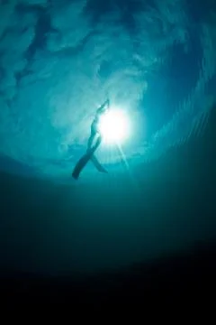 Freedive ascent Stock Photos