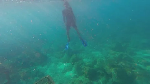 Freedive boy in mactan Stock Footage 258644514