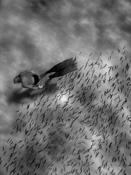 Freediver and small fish Stock Photos