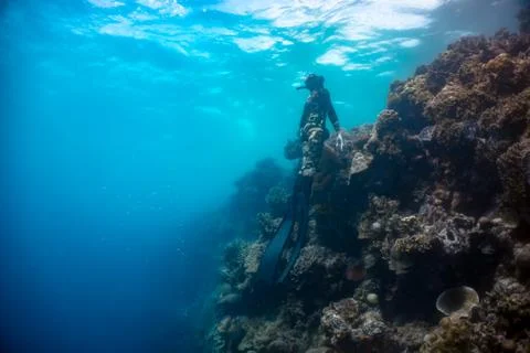 Freediver ascends from the deep Foto stock