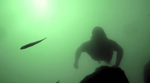 Freediver in a black wetsuit diving downwards towards the camera Stock Footage 53137933
