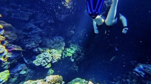 Freediver descending headfirst into a dramatic illuminated coral chasm in deep Stock Footage 334336361