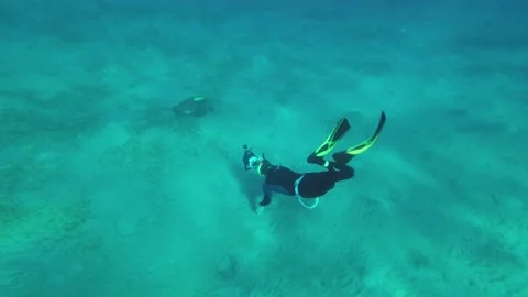 Freediver dives to the deep and shots Green Sea Turtle (Chelonia mydas) on Vídeos de archivo 232769331