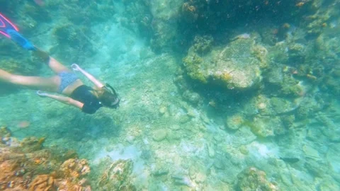 Freediver Exploring Rocky Coral Reef in Slow Motion, Indonesia Stock Footage 343410102