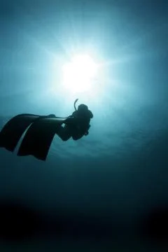 Freediver gbr Stock Photos
