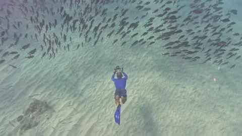 Freediver photographer going down to dive inside a school of fish. Stock Footage 280940857