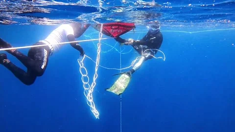 Freedivers pulling up line Vídeo Stock 247507617