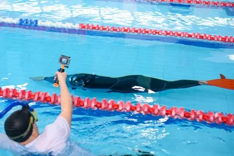 Freediving competition in a tranquil pool setting with passionate athletes Stock Photos