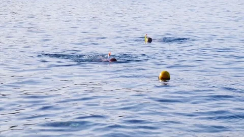 Freediving at the Red sea Stock Footage 76026259