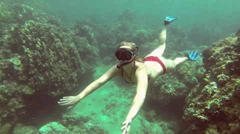 Freediving with Shark Follow Cam Stock Footage 25242589