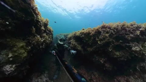 Freediving Spearfish - A man in action in the blu mediterranean sea Stock Footage 292932486