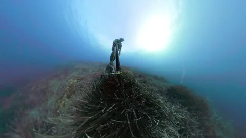 Freediving Spearfish - A man in action in the blu mediterranean sea Stock Footage 292932497