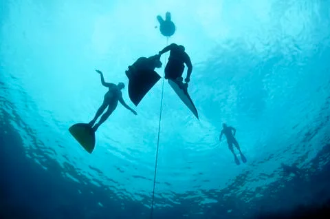 Freediving training in the depth of blue hole Stock Photos