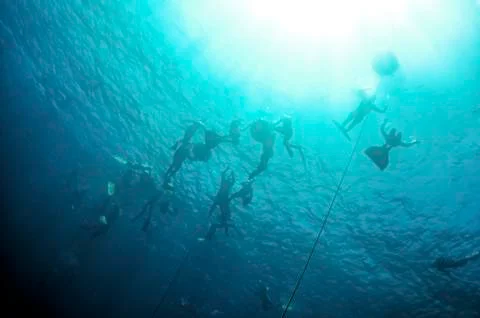 Freediving training in the depth of blue hole Stock Photos