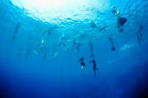 Freediving training in the depth of blue hole Stock Photos