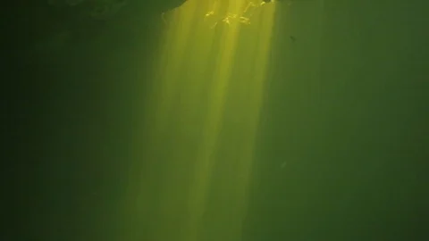 FREEDIVING TULUM Video stock 118376744