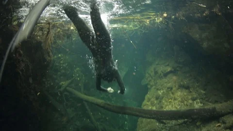 FREEDIVING TULUM Video stock 118377536