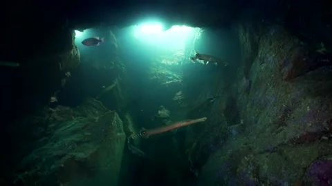 Freediving underwater caves view in Gran Canaria Island Spain Stock Footage 130910227