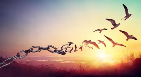 Freedom - Chains That Transform Into Birds - Charge Concept Stock Photos