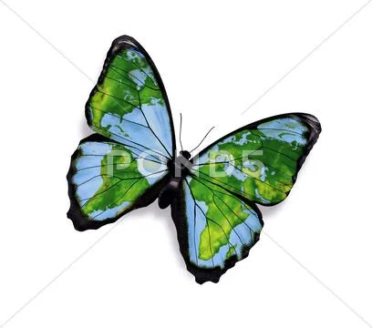 Freedom concept Stock Illustration