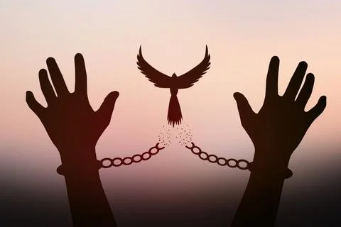 Freedom concept. The shadow of a pigeon is released from the chains that bi.. Stock Photos