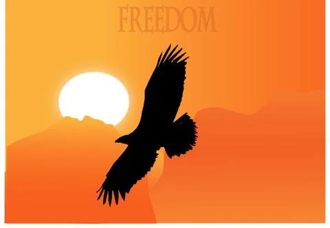 Freedom eagle Stock Illustration