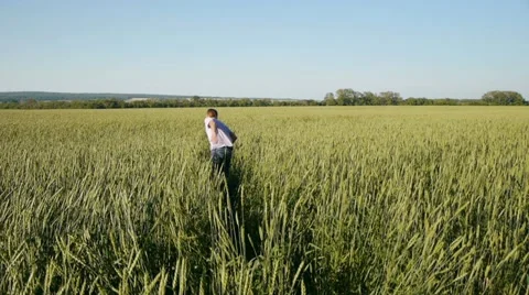 Freedom Stockbeeldmateriaal 11428345