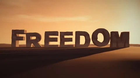 Freedom Giant Eroded Stone Letters Standing in a Desert at Sunset with Stock Footage 342079212