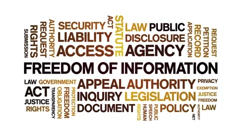 Freedom of information animated word cloud,animation kinetic typography loop. Stock Footage 310059906