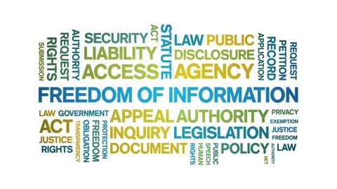 Freedom of information animated word cloud,animation kinetic typography loop. Stock Footage 310059922
