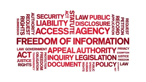 Freedom of information animated word cloud,animation kinetic typography loop. Stock Footage 310059944