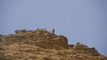 Freedom to jump from a cliff Stock Footage 85663869