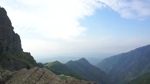 Freedom in the natural world Stock Footage 43714158