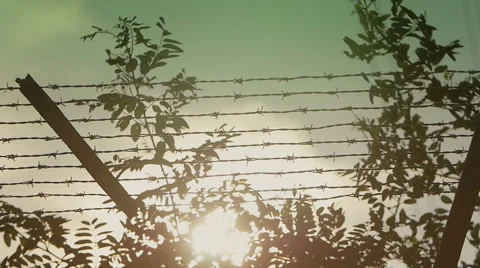Freedom, the sunset over the barbed wire Stock Footage 54680748