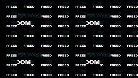 Freedom Text 02 Stock Footage 147328795