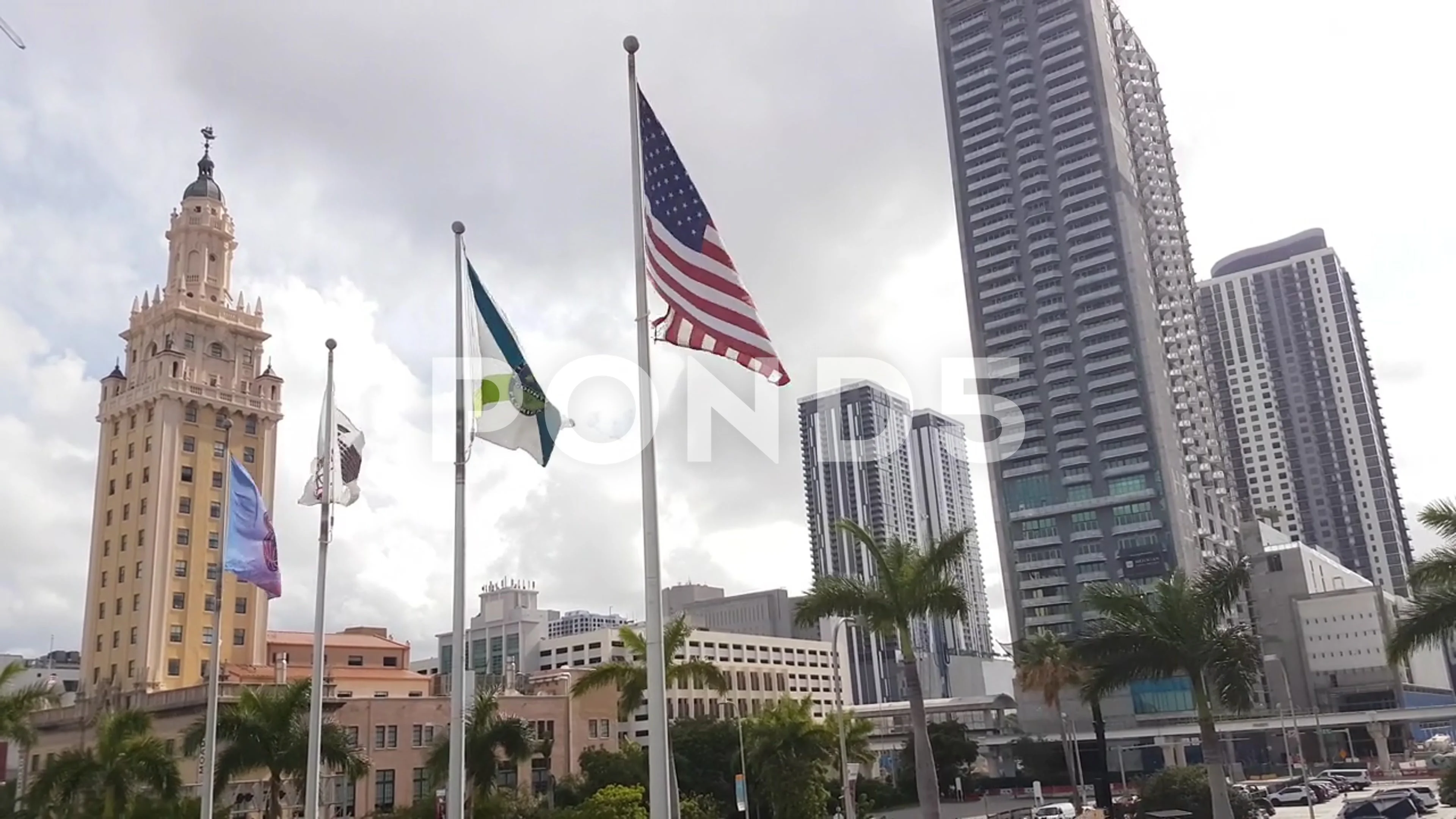 Miami Dade Colle - j6l58n7