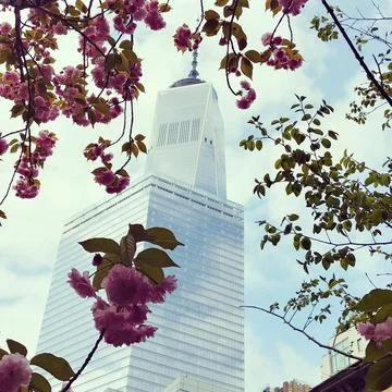 Freedom tower spring Stock Photos