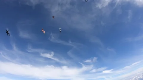 Freefly skydiving Video stock 155764605