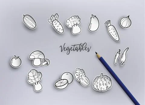 Freehand drawing vegetables. Stock Illustration