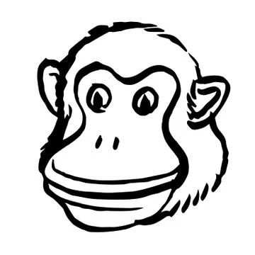 Freehand illustration of monkey head on white background Stock Illustration