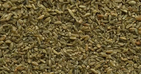 Freekeh grains background. Stock-Footage 277070676